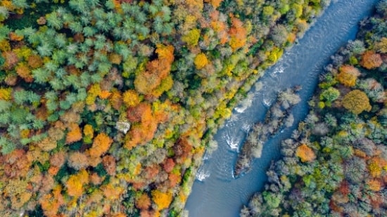 THE ENVIRONMENT